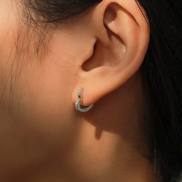 S925 Silver Love Micro Diamond Earrings Women's Niche Sweet All-match Heart-shaped Earrings Ins Light Luxury High-end Ear Buckle - Image 2